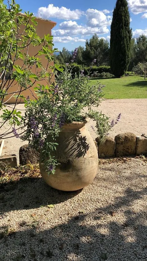 le Mas des Pignes -adults only Aix-en-Provence Couette-café